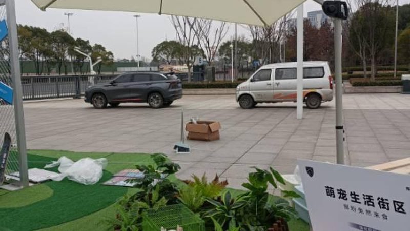 为了合理预算广告设计与制作费用，客户可从以下方面入手：